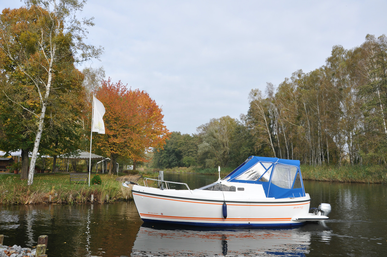 Delphia 56