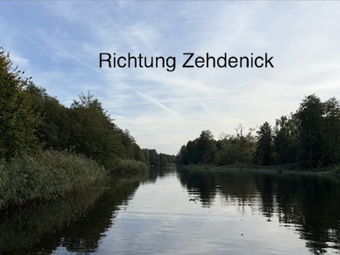 IMG 3174